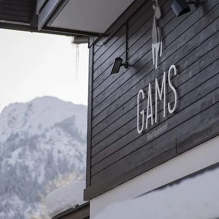 Boutique Hotel Gams-3